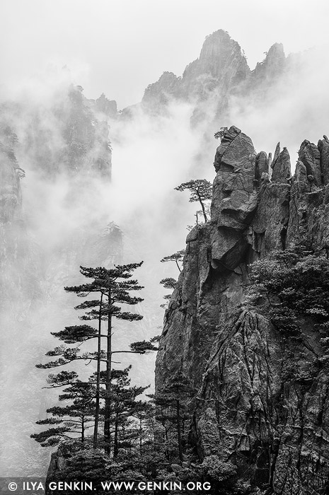 landscapes stock photography | Huangshan Mountains in Clouds, Xihai (West Sea) Grand Canyon, Baiyun Scenic Area, Huangshan (Yellow Mountains), China, Image ID CHINA-HUANGSHAN-0033