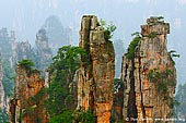 landscapes stock photography | Stone Pillars in Zhangjiajie, Tianzi Mountain Nature Reserve, Zhangjiajie National Park, Hunan, China, Image ID CHINA-WULINGYUAN-ZHANGJIAJIE-0001. Fascinating stone mountains at Tianzishan (Tianzi Mountain Nature Reserve) in Zhangjiajie National Park in Hunan province of China were prototype of the floating mountains in Avatar Hollywood blockbuster.