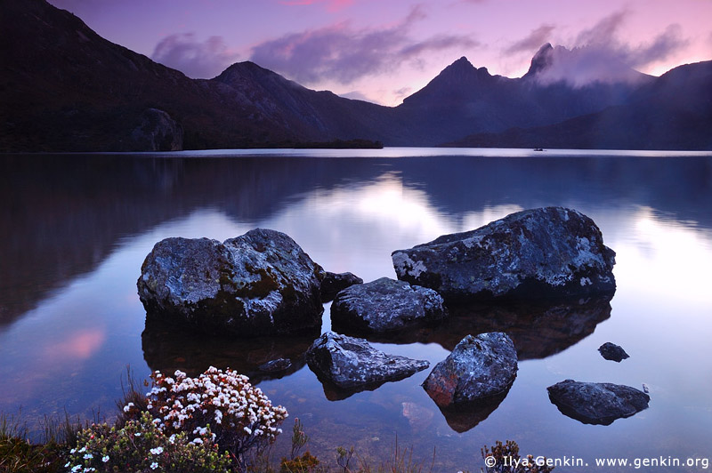 landscapes stock photography | Lake Dove after Sunset, Cradle Mountain National Park, Tasmania, Australia, Image ID CRADLE-MOUNTAIN-LAKE-DOVE-TAS-0002