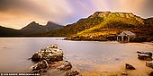 landscapes stock photography | Sunrise at Lake Dove Boat Shed, Cradle Mountain National Park, Tasmania, Australia, Image ID CRADLE-MOUNTAIN-LAKE-DOVE-TAS-0005. One of the best-known walks in Tasmania, the Dove Lake Circuit is also the most easily accessible short walk in the Cradle Mountain region, with the Crater Lake walk a close second. At just 6 km, the flat, gravel and duckboard track is very easy going, leaving you to focus entirely on the jagged peak of Cradle Mountain, which looms above the track. Depending on the weather, which switches from snow to sleet to sunshine in seconds, Cradle Mountain can seem brooding or pastoral or inviting, and some days its twin dolerite spires are completely obscured. Along the way, there is a greater mix of terrain than one might expect for a walk of this distance, including scrubby button grass, sandy beaches, cascading streams and at the mid-point of the walk, a very special rainforest known as the Ballroom Forest. This enchanted stand of moss-covered myrtle-beech trees is the stuff of folk stories, and it is easy to picture magical creatures playing amongst its leaves.