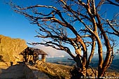 landscapes stock photography | Old Stone Hut at Sunset and View over Australian Alps from The Horn, Mount Buffalo National Park, Victoria, Australia, Image ID MOUNT-BUFFALO-VIC-0005. Last rays of sunset highlighted small rock built hut and a tree at the beginning of the walking track leads to the summit of The Horn mountain.