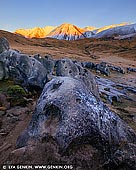 landscapes stock photography | First Sun at Castle Hill, Canterbury Region, South Island, New Zealand, Image ID NZ-CASTLE-HILL-0002. The area around Castle Hill in Canterbury Region, South Island, New Zealand is of special cultural, spiritual and historical significance to Ngai Tahu who named it Kura Tawhiti, which literally means 'the treasure from a distant land'. Hidden amongst the limestone outcrops of Castle Hill are traces of 500-year old charcoal drawings traditionally said to have been left by the Waitaha, the first people to travel through this area. In 1998, the area was designated the Kura Tawhiti Conservation Area to ensure that the values Ngai Tahu place on this area are recognized, acknowledged and respected.