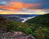 landscapes stock photography | Sunset Barnetts Lookout, Berowra Valley National Park, Hornsby Shire, NSW, Australia, Image ID AU-BEROWRA-BARNETTS-LOOKOUT-0001. Take the time out and reward yourself with some great views which provide the perfect vantage point for catching the sunset. Overlooking the peaceful creek and high bushland views that surround the creek will give a relaxing touch to your day. Starting from Barnetts Road carpark you follow the footpath through the picnic area, past the playground then meander gently downhill through the open forest among the scribbly gum trees. You soon discover a fenced lookout platform with amazing views up and down the Berowra Valley. The views of trees goes on forever, on a clear day you can even see the Blue Mountains.