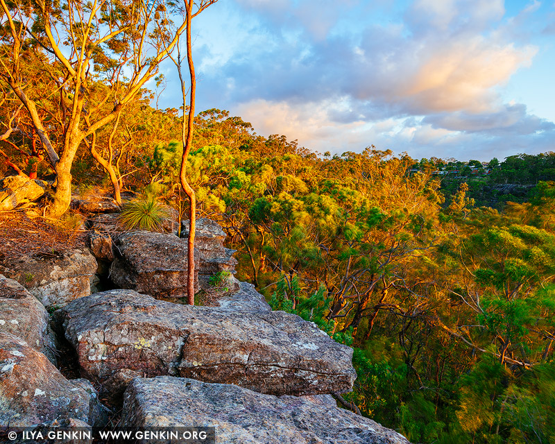 landscapes stock photography | Sunset at Currawong Lookout, Berowra Valley National Park, Hornsby Shire, NSW, Australia, Image ID AU-BEROWRA-CURRAWONG-LOOKOUT-0002
