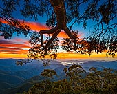 landscapes stock photography | Sunrise at Point Lookout, New England National Park, NSW, Australia, Image ID AU-NEW-ENGLAND-POINT-LOOKOUT-0001. Point Lookout, a mountain on the Snowy Range, a spur of the Great Dividing Range, is located in the New England National Park on the eastern edge of the Northern Tablelands in the New England region of New South Wales, Australia. With an altitude of 1,564 metres (5,131 ft) above sea level, Point Lookout is the second highest peak in the region. At sunrise, the mist in the valley turns from orange to pink as the sun erupts above the distant horizon. It's no wonder this is one of the most photographed sunrises on the NSW North Coast.