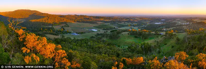 landscapes stock photography | Towac Pinnacle Sunrise, Mount Canobolas State Conservation Area, Orange, NSW, Australia. From Towac Pinnacle lookout near Orange, sunrise arrives slowly across the valley. The eucalyptus below catch the first warm light, their pale forms rising from the shaded land, while Mount Canobolas glows quietly in deep orange to the west. There is a strong sense of reward in this view. After the walk to the lookout, the landscape opens into an almost complete sweep of space, with the Towac Valley stretching wide and Mount Canobolas holding the horizon. It feels calm, expansive, and quietly grounding. On a wall, this panoramic image brings depth and openness into a room. Its balance of shadow, soft morning light, and warm colour creates a steady presence, suited to living spaces, offices, and places made for reflection. Created to be lived with, this fine art wall art print offers the feeling of standing above the valley at first light, with the day just beginning.