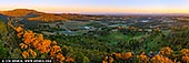Towac Pinnacle Sunrise - Fine art print of Mount Canobolas State Conservation Area, Orange, NSW, Australia - From Towac Pinnacle lookout near Orange, sunrise arrives slowly across the valley. The eucalyptus below catch the first warm light, their pale forms rising from the shaded land, while Mount Canobolas glows quietly in deep orange to the west. There is a strong sense of reward in this view. After the walk to the lookout, the landscape opens into an almost complete sweep of space, with the Towac Valley stretching wide and Mount Canobolas holding the horizon. It feels calm, expansive, and quietly grounding. On a wall, this panoramic image brings depth and openness into a room. Its balance of shadow, soft morning light, and warm colour creates a steady presence, suited to living spaces, offices, and places made for reflection. Created to be lived with, this fine art wall art print offers the feeling of standing above the valley at first light, with the day just beginning. - Image ID: AU-NSW-ORANGE-0001