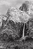 landscapes stock photography | Bridalveil Falls from Tunnel View, Yosemite National Park, California, USA, Image ID YOSEMITE-NATIONAL-PARK-CALIFORNIA-USA-0009. Black and white image of the Bridalveil Fall and the valley covered in snow in the Yosemite Valley in California. Bridalveil Fall is one of the most prominent waterfalls in the Yosemite Valley in California, seen yearly by millions of visitors to Yosemite National Park. The waterfall is 188 metres (617 ft) in height and flows year round. The Ahwahneechee tribe believed that Bridalveil Fall was home to a vengeful spirit named Pohono which guarded the entrance to the valley, and that those leaving the valley must not look directly into the waterfall lest they be cursed. They also believed that inhaling the mist of Bridalveil Fall would improve one's chances of marriage.