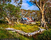 landscapes stock photography | Wallace's Hut on a Sunny Day, Falls Creek, Victoria, Australia, Image ID AU-FALLS-CREEK-WALLACES-HUT-0003. Wallace's Hut is the oldest of the Cattleman's huts still standing in the Alpine National Park and is classified under the National Trust. It was built from slabs of snowgum by the Wallace Brothers in 1889 and is located along the Bogong High Plains Road, 7.7 kms from the Rocky Valley storage dam wall. In the 1930's its woolly butt roof shingles were replaced by the SEC when it was taken over as a workers' hut. Wallace Hut is today the perfect spot for a picnic amongst the snowgums and is used today as an emergency shelter for hikers.