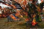 landscapes stock photography | Wallace's Hut at Sunrise, Falls Creek, Victoria, Australia, Image ID AU-FALLS-CREEK-WALLACES-HUT-0002. 