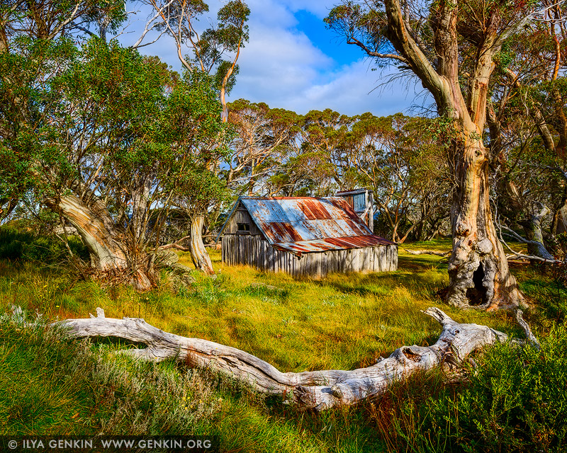 landscapes stock photography | Wallace's Hut on a Sunny Day, Falls Creek, Victoria, Australia, Image ID AU-FALLS-CREEK-WALLACES-HUT-0003