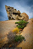 landscapes stock photography | The Remarkable Rocks, Flinders Chase National Park, Kangaroo Island, SA, Australia, Image ID KI-REMARKABLE-ROCKS-0006. The Remarkable Rocks in Flinders Chase National Park on Kangaroo Island, Australia are one of nature's wonders. The strange and unusually shaped rocks are formed of granite laid down about 500 million years ago when Australia was still part of the Godwana supercontinent which included South America, Africa and India. Once on the surface they have been sculpted by wind, rain and sea into the unusual shapes seen today. Many of the rocks are covered in golden orange lichen offering plenty of opportunity for striking photographs as the sunlight strikes the angles. Visitors from across the world have been in awe of the Remarkable Rocks and you will be as well.