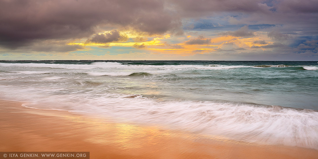 landscapes stock photography | Long Reef Beach and Pacific Ocean at Sunrise, Sydney, NSW, Australia, Image ID AU-LONG-REEF-BEACH-0002