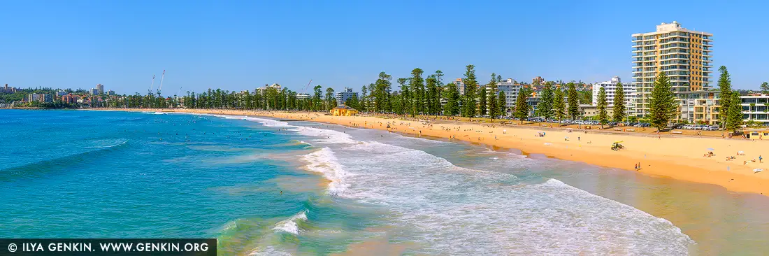 Endless Summer - Sunlit Shores of Manly Beach - Fine art print of Manly, Sydney, New South Wales, Australia - Under a flawless blue sky, the golden sands of Manly Beach stretch into the distance, kissed by the gentle rhythm of turquoise waves. Towering Norfolk pines line the promenade like guardians of the coast, casting long shadows across the sand as sunseekers lounge and surfers dance with the sea. The soft roar of the ocean and the distant hum of city life merge into a perfect harmony of relaxation and energy. This panoramic view captures the quintessential Sydney beach lifestyle - vibrant, free-spirited, and sun-drenched. A stunning piece to bring warmth, vitality, and coastal charm into any space. - Image ID: AU-MANLY-BEACH-0007