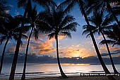 landscapes stock photography | Sunrise at Palm Cove, Cairns, Queensland (QLD), Australia, Image ID PALM-COVE-QLD-AU-0003. Stock image of sunrise at Palm Cove, Cairns, Queensland, Australia with silhouettes of coconut palms at beachfront.