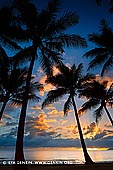 landscapes stock photography | Vivid Sunrise at Palm Cove, Cairns, Queensland (QLD), Australia, Image ID PALM-COVE-QLD-AU-0004. A classic in a vertical format, a vivid and scenic beach sunrise with palm trees on the Palm Cove Beach in Cairns, Queensland (QLD), Australia. It hardly gets more classic than this sunrise or sunset framed with palm trees on a scenic beach in tropical Queensland in Australia photographed as a vertical panorama photo. The tropical Queensland and especially Cairns are well known vacation spots in Australia. This image is the perfect photo for a wall at home, it makes the room into a vacation spot!