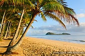 landscapes stock photography | Palm Cove at Early Morning, Cairns, Queensland (QLD), Australia, Image ID PALM-COVE-QLD-AU-0005. Palm Cove in Cairns, Queensland (QLD), Australia is a destination surrounded by Mother Nature's natural beauty offering a feast of blissfulness for the eyes. Palm Cove is Cairns's most prominent and famous beach. Centuries old 'paperbark' Melaleuca trees line the casual Esplanade while sun lovers play in the ocean and laze about on the soft golden sands. Palm Cove is well-known as relaxed yet sophisticated village with award winning restaurants, internationally renowned day spas and spa resorts, fashion boutiques, jewellery and art galleries.