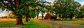 landscapes stock photography | Autumn Colours of Gostwyck Chapel, Northern Tablelands, New England, NSW, Australia, Image ID AU-GOSTWYCK-AUTUMN-0001. Officially known as 'All Saints Anglican Church', Gostwyck Chapel was built in 1921 in memory of Major Clive Collingwood Dangar who lost his life during World War I. The chapel was constructed entirely of bricks made and fired on Gostwyck Station. The stone wall surrounding the chapel was built to protect it from flood waters from the nearby Salisbury Waters. The magnificent tree lined avenue of 200 Elms was planted by a worker who was brought out from England specifically for the task. The site is a favourite for photographers, especially during the autumn months when the leaves of the Elm trees turn gold providing the perfect backdrop for the Virginia Creeper covering the chapel, which changes to a brilliant red.