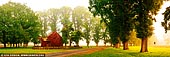 landscapes stock photography | Foggy Autumn Morning at Gostwyck Chapel, Northern Tablelands, New England, NSW, Australia, Image ID AU-GOSTWYCK-AUTUMN-0002. Through a heavy fog the golden light of dawn slowly reveals Gostwyck Chapel, located in the Northern Tablelands of NSW surrounded by avenues of elm trees. The serene little chapel comes to life during the Autumn and particularly at golden hour.