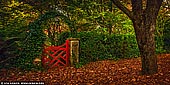 landscapes stock photography | The Little Red Gate At Bebeah Gardens In Autumn, Mount Wilson, Blue Mountains National Park, NSW, Australia, Image ID AU-MOUNT-WILSON-AUTUMN-0006. This little red gate at Bebeah Gardens in Mount Wilson, Blue Mountains, NSW, Australia is probably the most photographed gates in Australia. The parklands were originally built by Edward Cox in 1880. Sprawling over many acres the garden includes various vistas of formal country garden. The name 'Bebeah' is believed to be an Aboriginal word meaning 'a place where stone axes are found'.