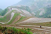 landscapes stock photography | Longji Rice Terrace Fields, Longsheng, Guangxi, China, Image ID CHINA-LONGSHENG-0010. Stock photo of a farmer working on Longji rice terraces in the mountains near Zhuang village of Ping An, Longsheng, Guangxi, China.