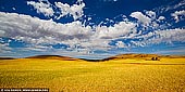 landscapes stock photography | Rolling Hills of Clare Valley, South Australia (SA), Australia, Image ID AU-CLARE-VALLEY-0001. Located about an hour and a half north of Adelaide, the secluded Clare Valley is a hidden gem bounded by picturesque farmland. The region is made up of over 30 towns and many small villages. Its main industries are tourism, viticulture, cereal crops and merino wool.