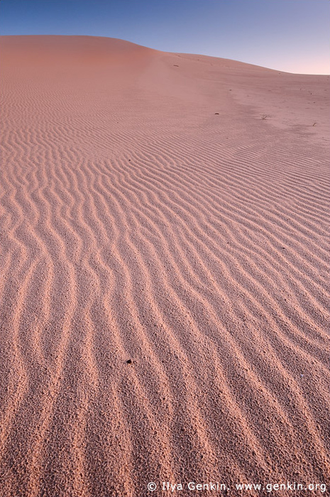 landscapes stock photography | Sand Dunes at Dark Point, Myall Lake National Park, NSW, Australia, Image ID DARK-POINT-DUNES-0001