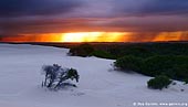 landscapes stock photography | Sunset at Dark Point, Myall Lake National Park, NSW, Australia, Image ID DARK-POINT-DUNES-0003. 