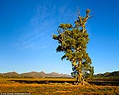 Flinders Ranges National Park, SA, Australia Stock Photography and Travel Images