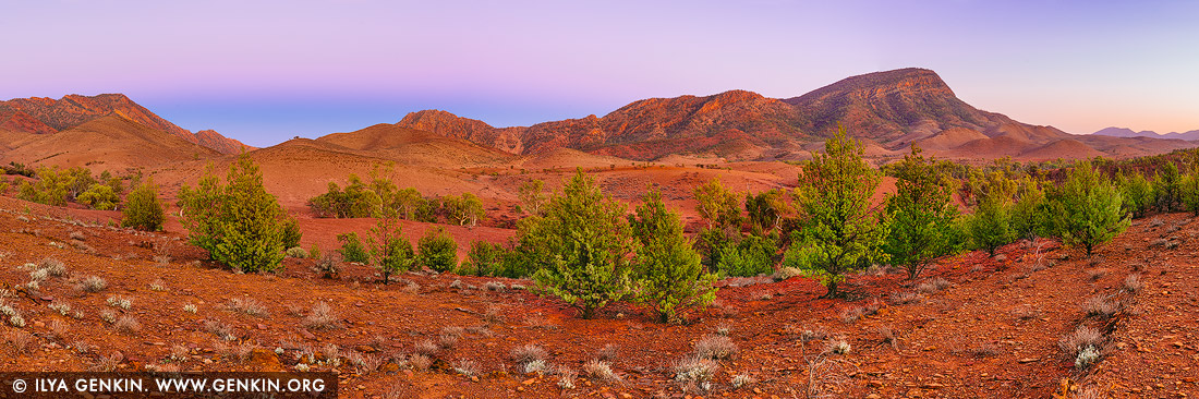 landscapes stock photography | Brachina Gorge at Dawn, Ikara-Flinders Ranges National Park, SA, Australia, Image ID AU-SA-FLINDERS-0022