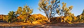 landscapes stock photography | Morning at Brachina Gorge, Ikara-Flinders Ranges National Park, SA, Australia, Image ID AU-SA-FLINDERS-0025. Brachina Gorge is a colourful and spectacular gorge and part of the Flinders Ranges National Park. It is north of Wilpena Pound. Brachina Gorge is about 8 km long and cuts a course through the Heysen Range. The road through the gorge cuts across the creek many times. A transport route was developed through here for the cartage of copper ore from the Blinman mine in the 1860s. About half way through the gorge is the grave of an unknown teamster. Brachina Gorge is an area of important fossils as well as a colourful and spectacular gorge. Rocks in Brachina Gorge were once sediments deposited in a shallow, elongate basin known as the Adelaide Geosyncline 650 to 500 million years ago. Mountain building then took place over many millions of years. This is when Wilpena Pound, a large fold structure, was formed. Weathering and erosion have since reduced the height of the mountain range. A geological track, 20 km. one way, has been established here. It is best to start from the eastern end, on the road between Wilpena and Blinman. Allow 2 - 3 hours to investigate the rocks which include one of the oldest known animal fossils, Dickinsonia costata. Camping is permitted in Brachina Gorge. No facilities have been developed. The area is very popular during school holidays. Firewood is scarce. Bring your own water.