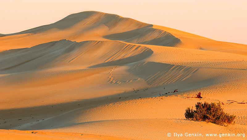 landscapes stock photography | Gunyah Beach Sand Dunes at Sunset, Coffin Bay National Park, South Australia (SA), Australia, Image ID GUNYAH-DUNES-COFFIN-BAY-0001