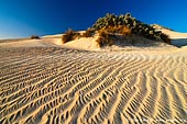 landscapes stock photography | Patterns on Sand Dunes, Gunyah Beach, Coffin Bay National Park, South Australia (SA), Australia, Image ID GUNYAH-DUNES-COFFIN-BAY-0004. A classic nature picture, Gunyah Beach Sand Dunes in the Coffin Bay National Park, South Australia. Sand dunes on the Gunyah Beach are one of the highlights on a trip to the Coffin Bay National Park. These Coastal sand dunes are constantly moving by the power of the wind.