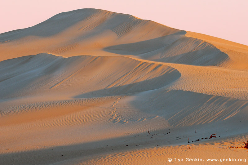 landscapes stock photography | Moving Sand Dunes at Dusk, Gunyah Beach, Coffin Bay National Park, South Australia (SA), Australia, Image ID GUNYAH-DUNES-COFFIN-BAY-0005