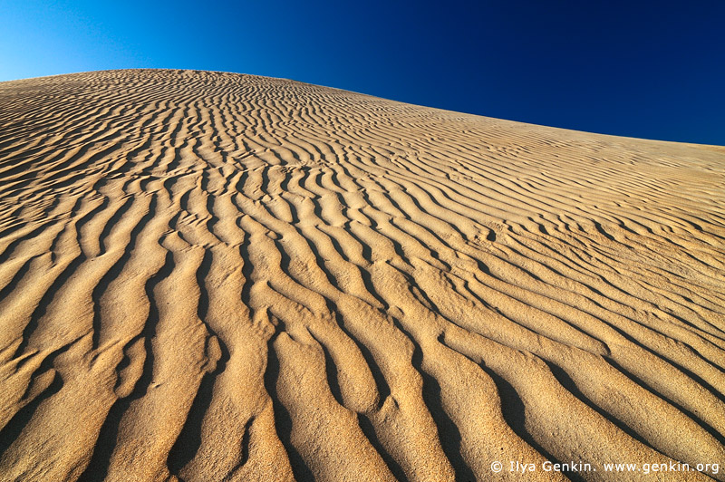 landscapes stock photography | Sand Ripples on Dunes, Gunyah Beach, Coffin Bay National Park, South Australia (SA), Australia, Image ID GUNYAH-DUNES-COFFIN-BAY-0006