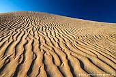 landscapes stock photography | Sand Ripples on Dunes, Gunyah Beach, Coffin Bay National Park, South Australia (SA), Australia, Image ID GUNYAH-DUNES-COFFIN-BAY-0006. Stock photo of the pattern and texture on the golden sand dunes on the Gunyah Beach in the Coffin Bay National Park, South Australia.