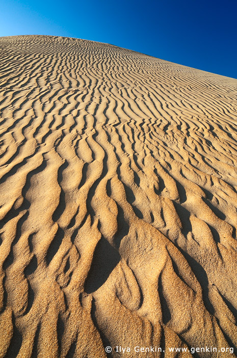 landscapes stock photography | Sand Ripples on Dunes, Gunyah Beach, Coffin Bay National Park, South Australia (SA), Australia, Image ID GUNYAH-DUNES-COFFIN-BAY-0008