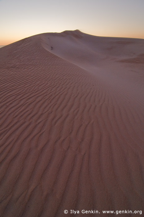 landscapes stock photography | Sand Dunes at Twilight, Gunyah Beach, Coffin Bay National Park, South Australia (SA), Australia, Image ID GUNYAH-DUNES-COFFIN-BAY-0009