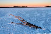 landscapes stock photography | Lake Gairdner at Sunrise, Gawler Ranges, South Australia (SA), Australia, Image ID AU-SA-LAKE-GAIRDNER-0001. 