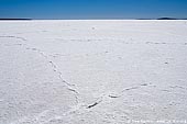 landscapes stock photography | Lake Gairdner, Gawler Ranges, South Australia (SA), Australia, Image ID AU-SA-LAKE-GAIRDNER-0009. 