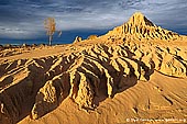 landscapes stock photography | The Walls of China at Sunset, Mungo National Park, NSW, Australia, Image ID AU-MUNGO-0025. The golden sand dunes of the Walls of China in the desert of Mungo National Park Death in NSW, Australia.