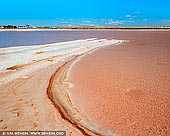 landscapes stock photography | Lake Grace, Eastern Wheatbelt, Western Australia (WA), Australia, Image ID AU-LAKE-GRACE-WA-0001. The most notable features of the Shire of Lake Grace are the many natural shallow salt lakes - crystal white or beautiful shades of pink, green, tan and mauve. The lakes, rimmed by samphire and tall paperbark shrubs, host a unique range of flora and fauna. Lake Grace North and Lake Grace South two interconnecting salt lakes are located 8km from the town site. These two lakes are so large that they are rarely able to fill completely. Water in the lakes can be blown from one side to the other by the wind. There is a picnic spot to the west of Lake Grace North and also a magnificent lookout which overlooks these two vast lakes.