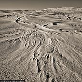 landscapes stock photography | Stockton Beach Sand Dunes Study #2, Anna Bay, New South Wales (NSW), Australia, Image ID AU-STOCKTON-SAND-DUNES-0002. Stockton Beach goes for about 40kms. It has an endless supply of unspoilt coastline but also a large amount of sand dunes. The only way to get around is in a good SUV or 4 wheel drive vehicle.