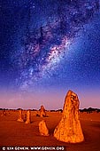 landscapes stock photography | Starry Night in The Pinnacles Desert, Nambung National Park, WA, Australia, Image ID AU-NAMBUNG-PINNACLES-0005. Western Australia offers some of the best stargazing spots because of its remote location and very little light pollution. This is why many stargazers and astronomers from around the world make the journey here to get a better view of the stars and capture stunning images. Fortunately, you don't have to be an astronomer to stargaze as everyone can appreciate the night sky. You just need to be as far away as possible from light pollution. If you want to take a 250km drive you will be treated with spectacular views at The Pinnacles, located in the Nambung National Park. You can capture interesting images of a blanket of stars stretching above limestone structures. Under moonlight, the shapes of the Pinnacles cast wonderful shadows.
