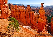 landscapes stock photography | Sunrise at Thor's Hammer, Sunset Point, Bryce Canyon National Park, Utah, USA, Image ID US-BRYCE-CANYON-0004. Morning time in the Bryce Canyon National Park, Utah, USA as the sun first rises and shines on Thor's Hammer, tall sandstone hoodoo along the Navajo Loop Trail, viewed from Sunset Point.