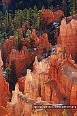 landscapes stock photography | Bryce Canyon Hoodoos, Inspiration Point, Bryce Canyon National Park, Utah, USA, Image ID US-BRYCE-CANYON-0005. Stock image of the sandstone hoodoos in the Bryce Canyon National Park, Utah, USA after sunrise.
