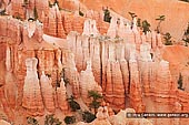 landscapes stock photography | Bryce Canyon Hoodoos, Inspiration Point, Bryce Canyon National Park, Utah, USA, Image ID US-BRYCE-CANYON-0010. Landscape views of Bryce Canyon National Park in Utah, USA. This is a closeup of the unique red sandstone columns called hoodoos that are unique to this national park. They are carved by the relentless freezing and thawing of water trapped in the crevices of the stone.