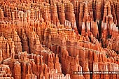 landscapes stock photography | Hoodoos Formations of the Bryce Canyon, Inspiration Point, Bryce Canyon National Park, Utah, USA, Image ID US-BRYCE-CANYON-0011. The photo above featuring fascinating hoodoos in Utah's Bryce Canyon National Park in USA. Hoodoos are erosional landforms that take shape whenever a relatively hard rock, such as limestone, overlays more readily erodible material, such as sandstone and or shale. The limestone acts to shield the softer rock from the elements, thus retarding the rate of erosion.