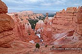 landscapes stock photography | Thor's Hammer at Twilight, Sunset Point, Bryce Canyon National Park, Utah, USA, Image ID US-BRYCE-CANYON-0013. Stock photo of the Thor's Hammer in the Bryce Canyon National Park, Utah, USA at twilight on a cloudy morning. Thor's Hammer is a spectacular example of a hoodoo, which is sometimes referred to as a tent rock or fairy chimney. It is one of the icons of Bryce Canyon National Park.