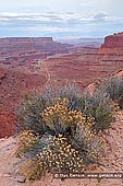 landscapes stock photography | Shafer Canyon Overlook, Island in the Sky, Canyonlands National Park, Utah, USA, Image ID CANYONLANDS-NATIONAL-PARK-UTAH-USA-0005. Stock photo of a canyon from the Shafer Canyon Overlook in Island in the Sky part of the Canyonlands National Park near Moab city in Utah, USA.